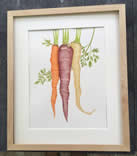 Carrots by Lynn Shepherd